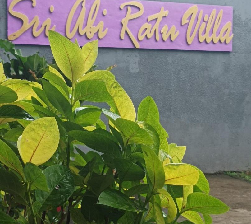 Photo of Others in Penatih