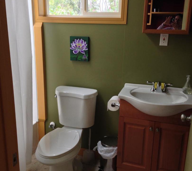 Photo of Others in Fern Forest