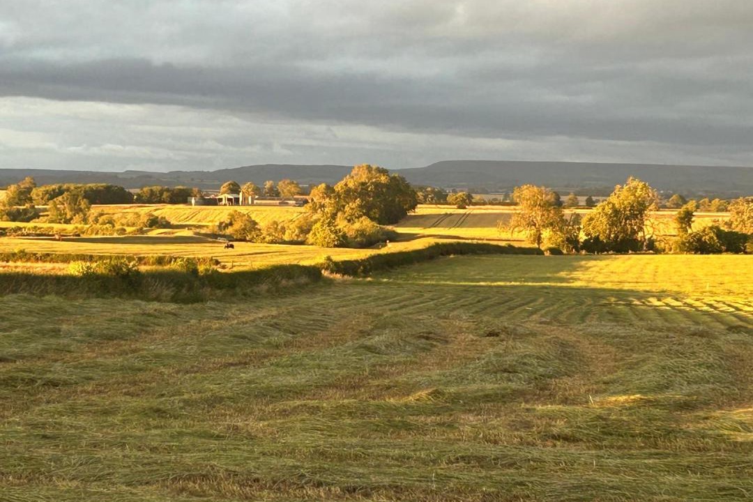 Photo of Others in Pickhill