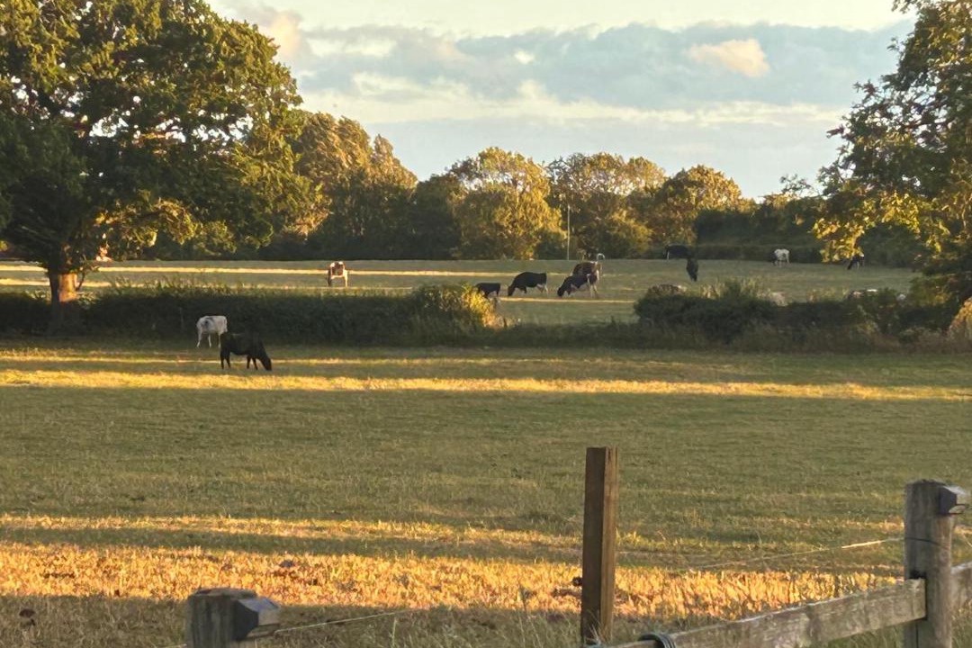 Photo of Others in Pickhill