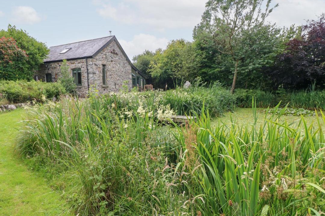 Photo of Others in Fishguard