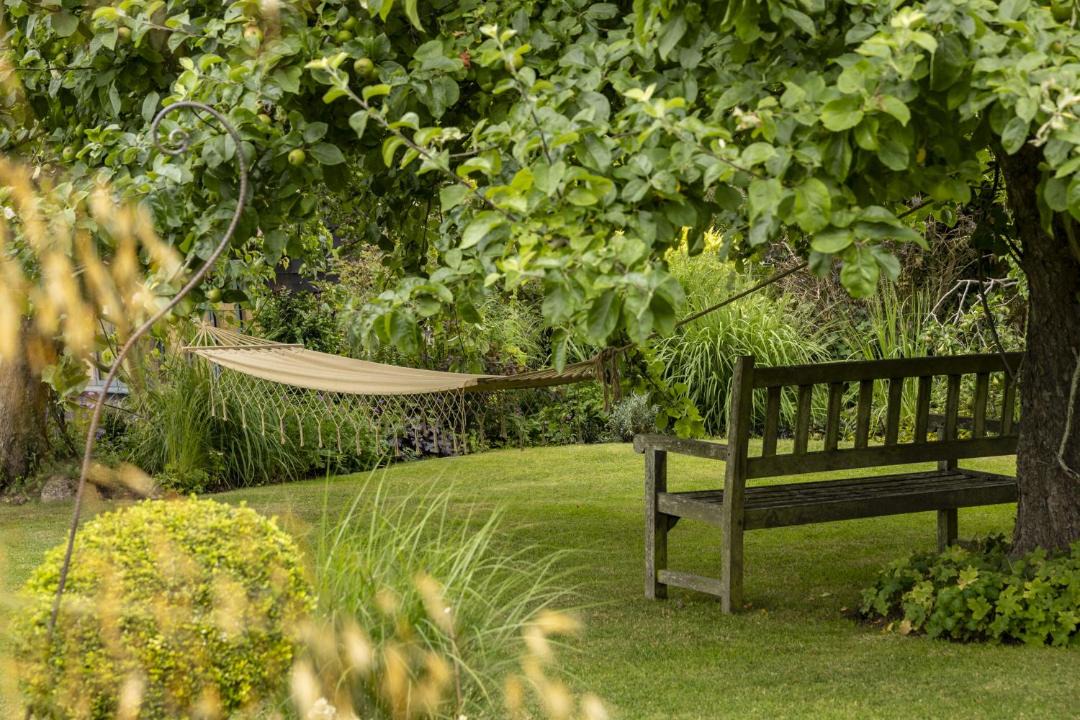 Photo of Others in Ludwel