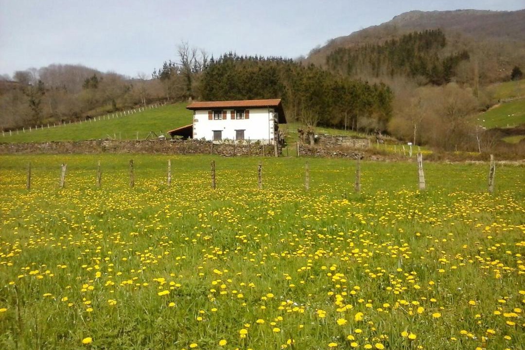 Photo of Others in Ituren