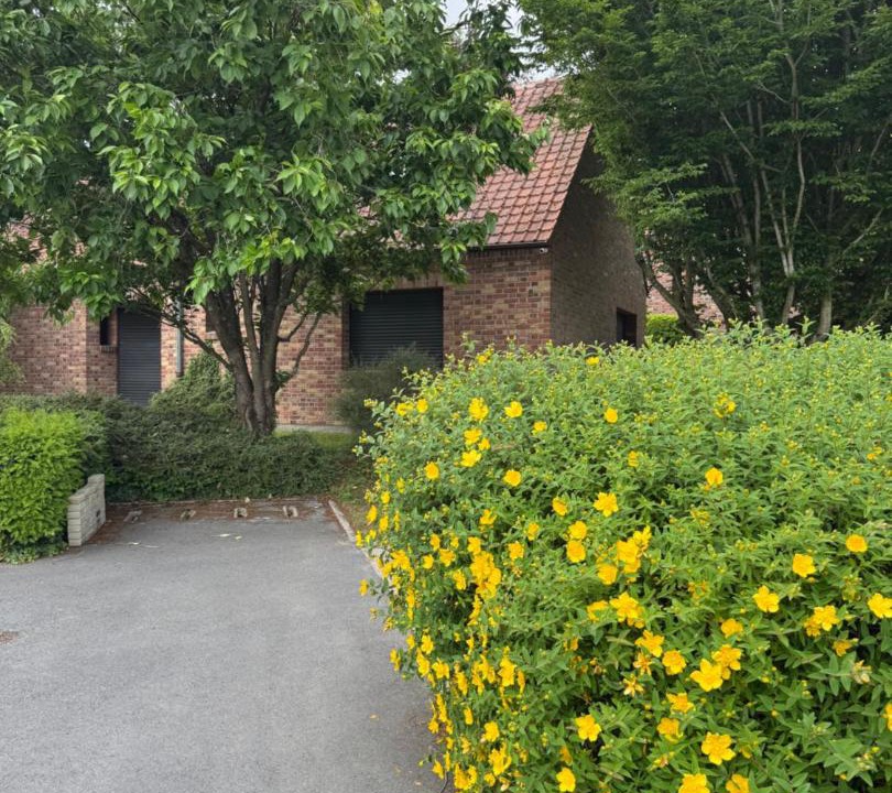 Photo of Others in Mericourt