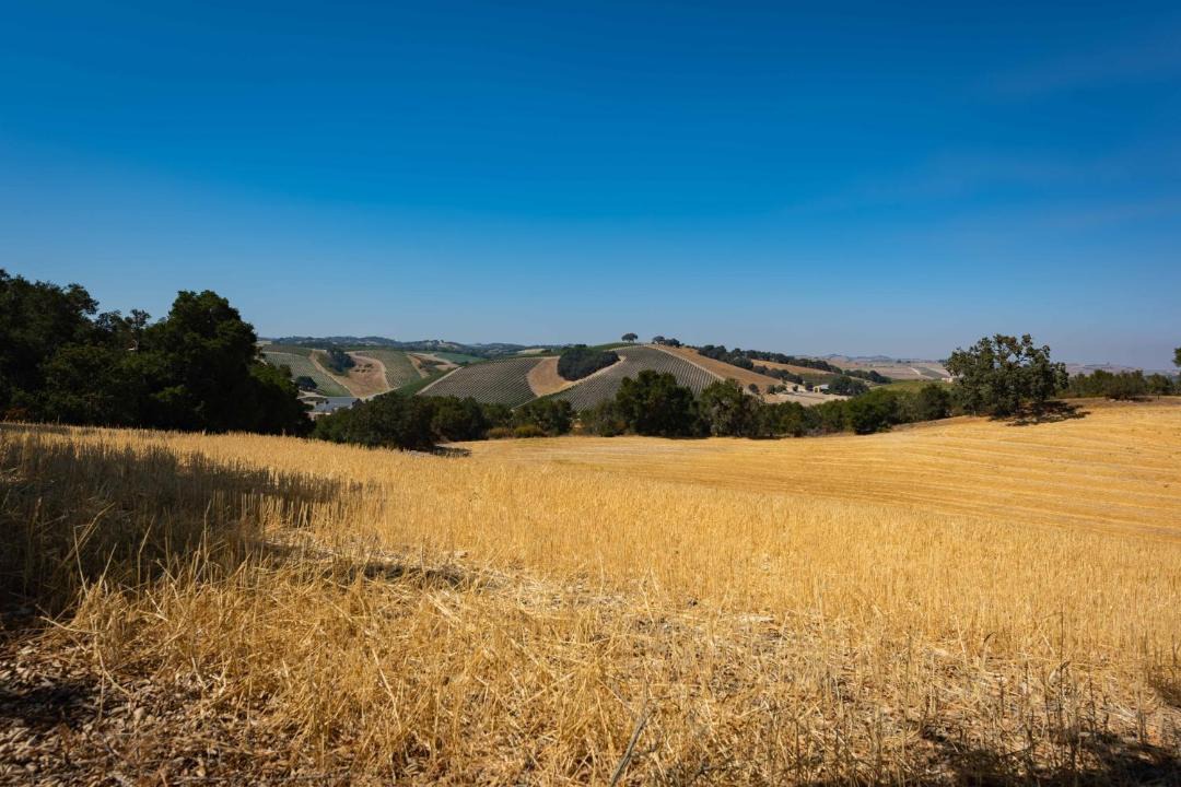 Photo of Others in Paso Robles