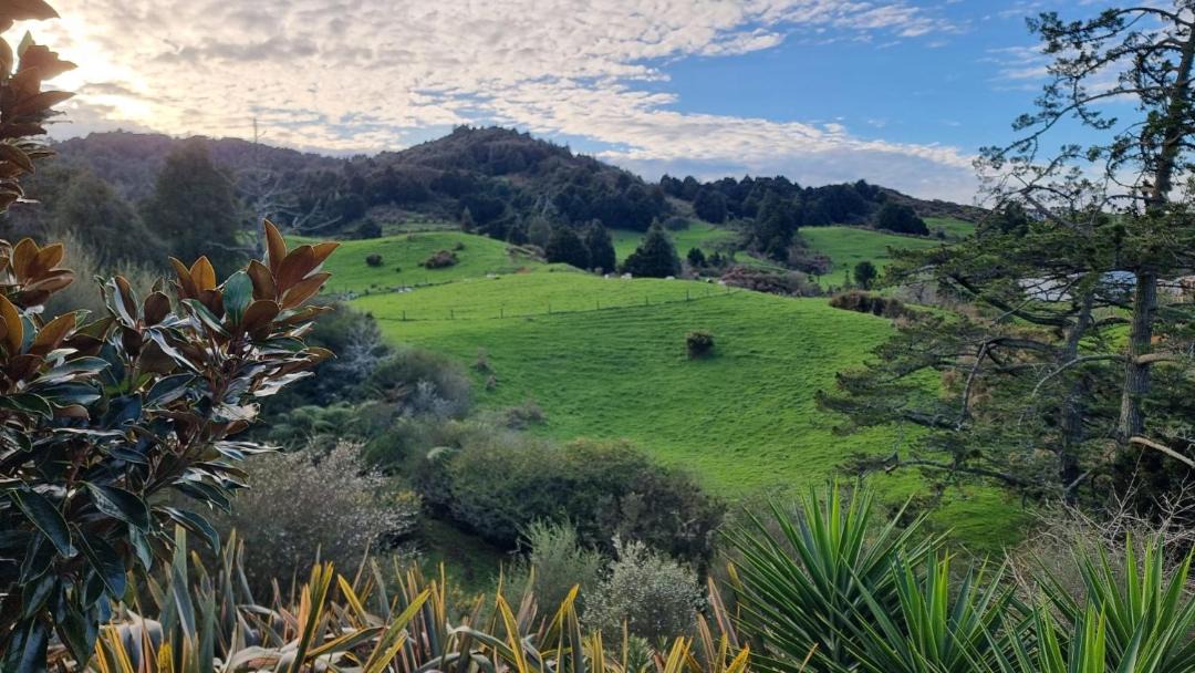 Photo of Others in Waikino