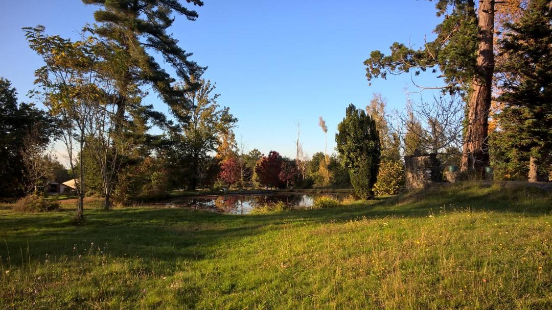 Photo of Others in Laglorieuse