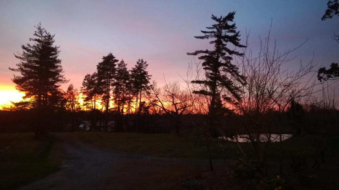 Photo of Others in Laglorieuse