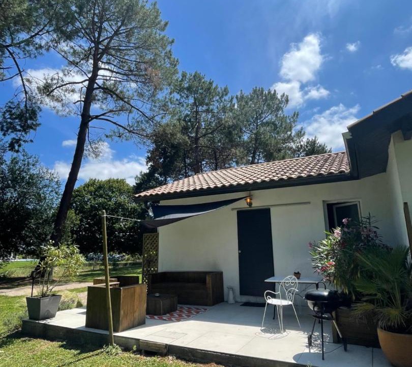 Photo of Others in Came