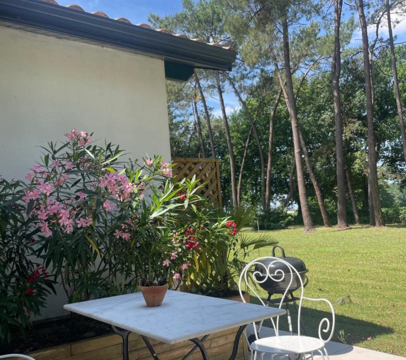 Photo of Others in Came