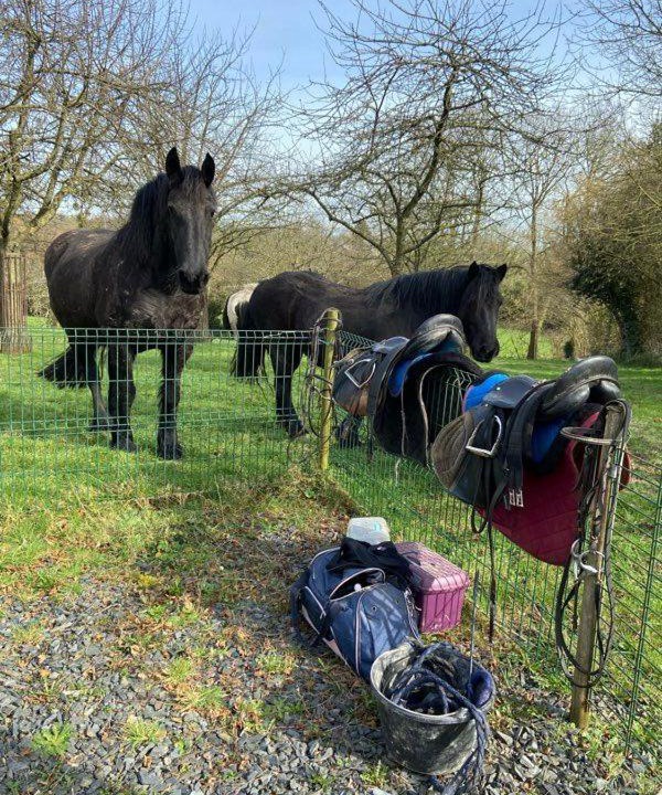 Photo of Others in Bures-les-Monts