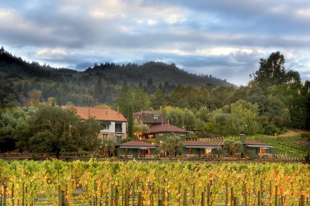 Photo of Others in St. Helena