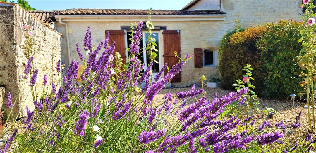 Photo of Others in Bribaudon