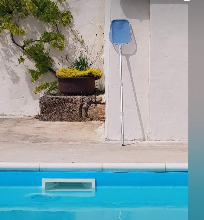 Photo of Others in Bribaudon