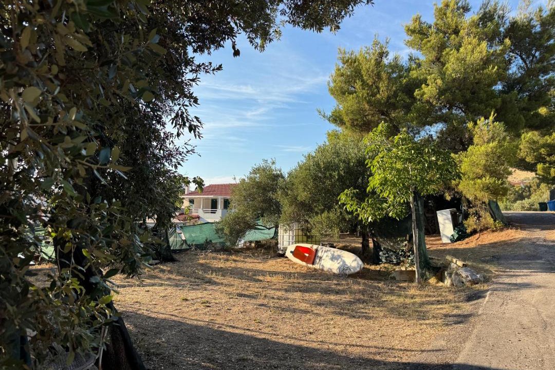 Photo of Others in Grebastica