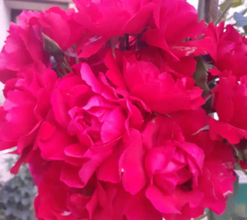 Photo of Others in Gasny