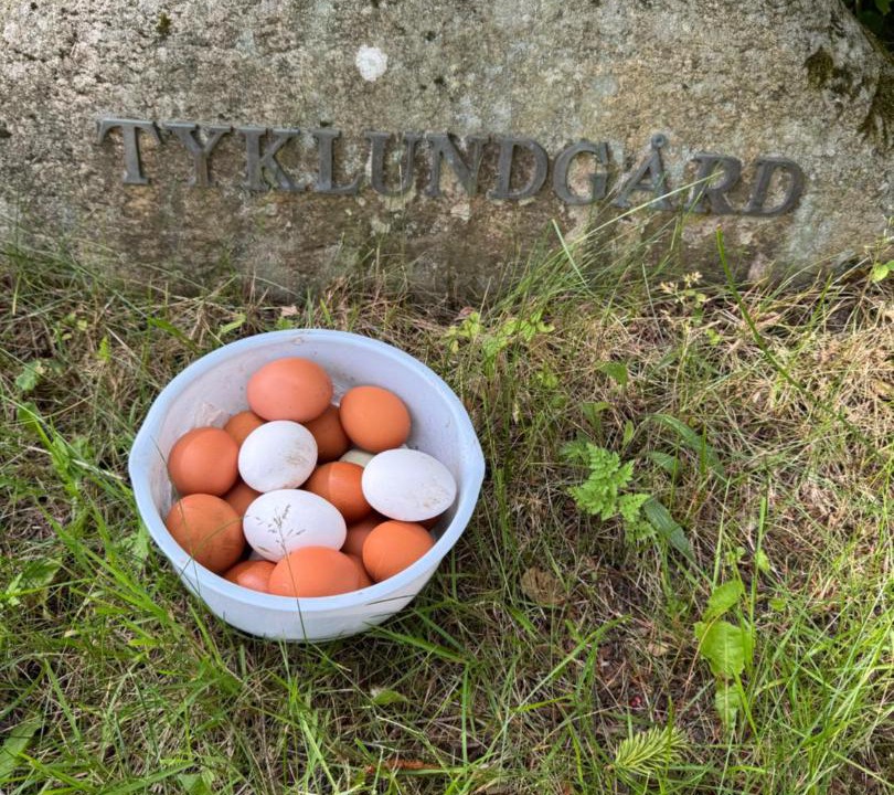Photo of Outdoor in Bryrup