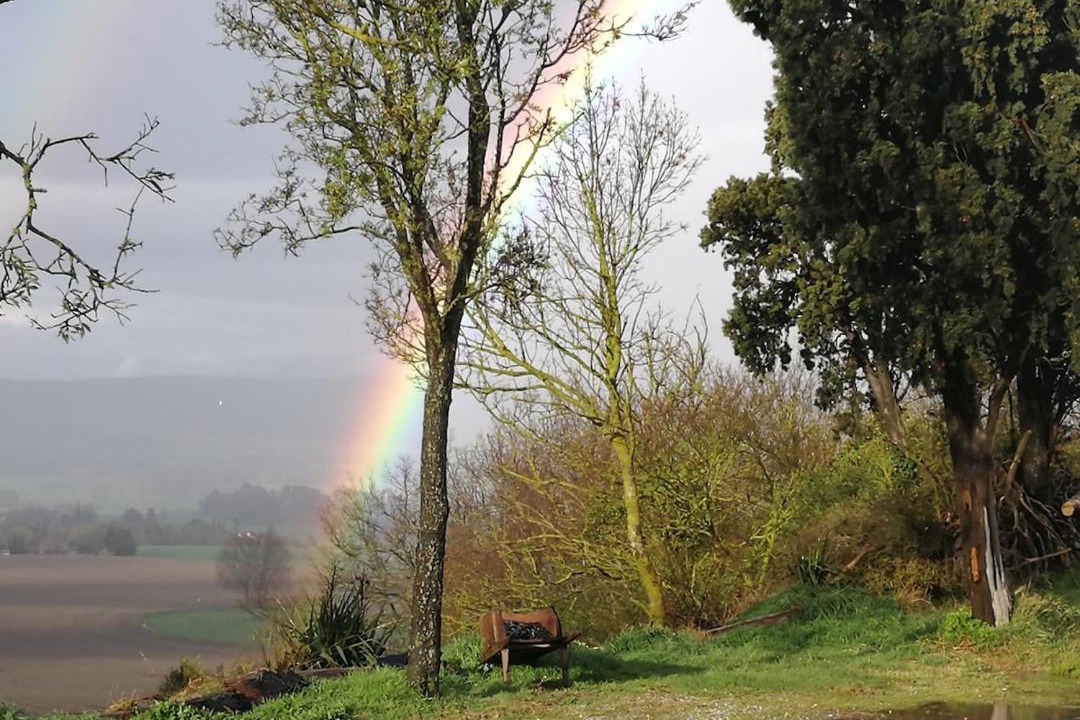 Photo of Others in Castelnaudary