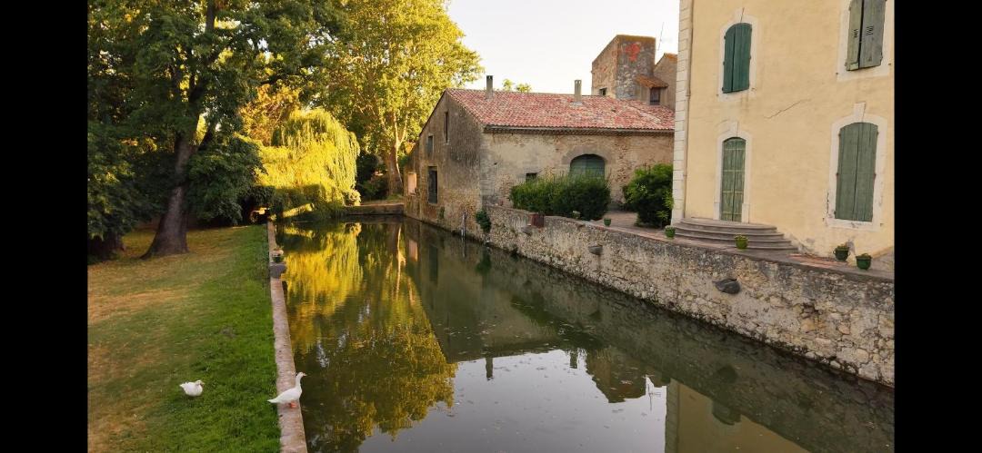 Photo of Others in Salleles-d'Aude