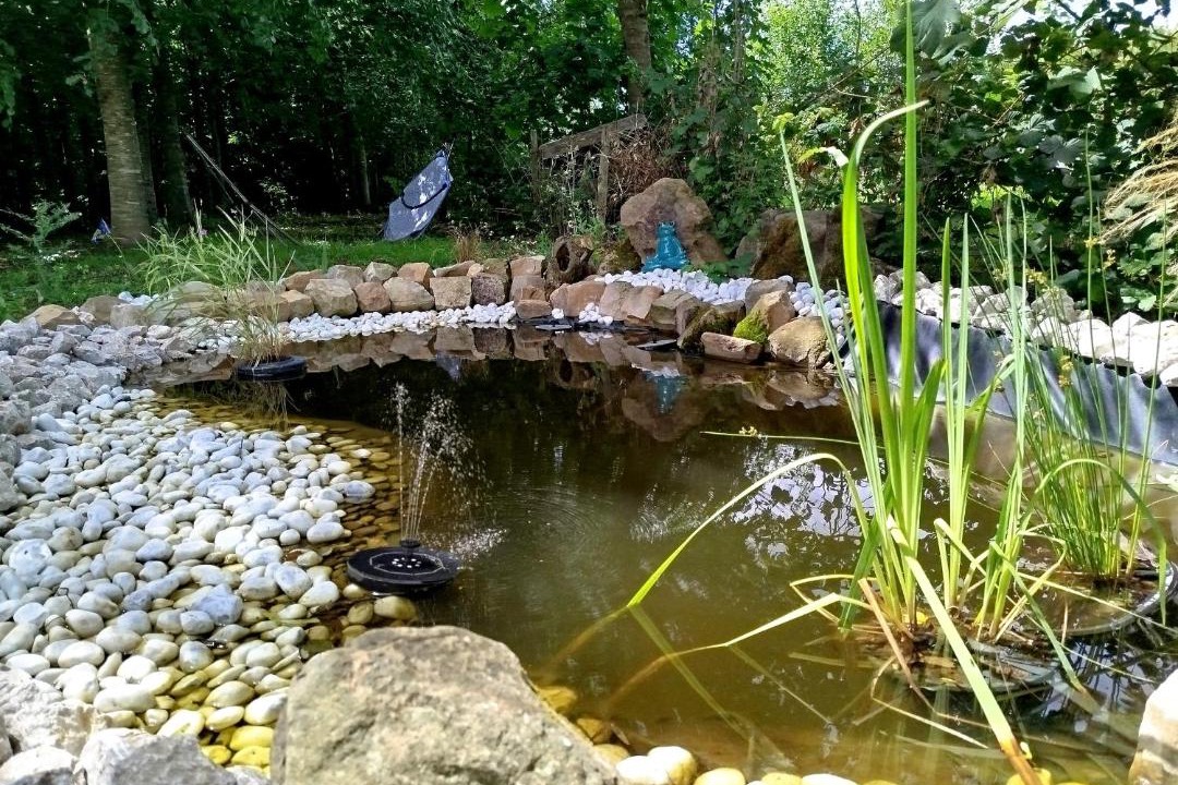 Photo of Others in Parenty