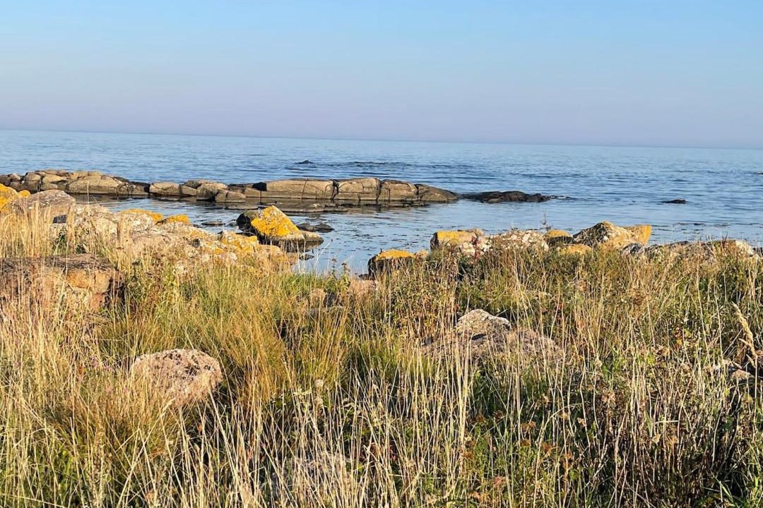 Photo of Others in Nexo