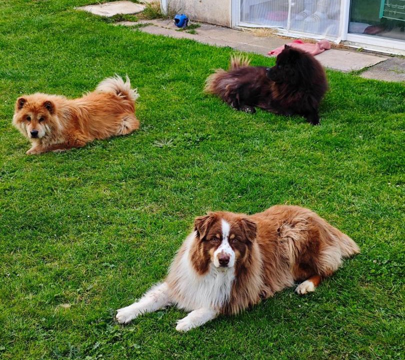 Photo of Others in Crecy-en-Brie