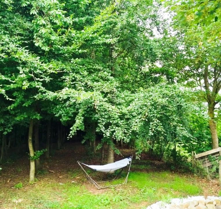 Photo of Others in Parenty