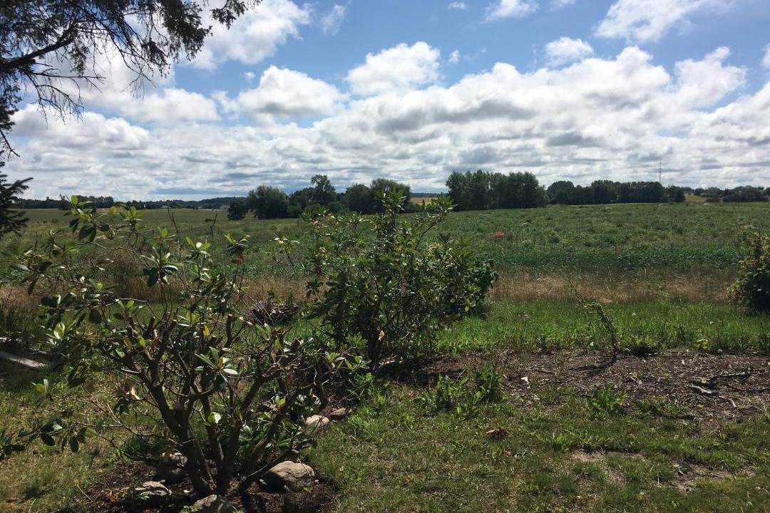 Photo of Others in Udsholt