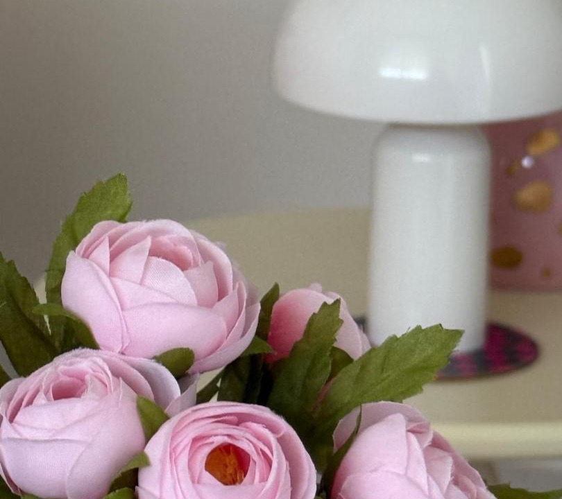 Photo of Others in Vannes