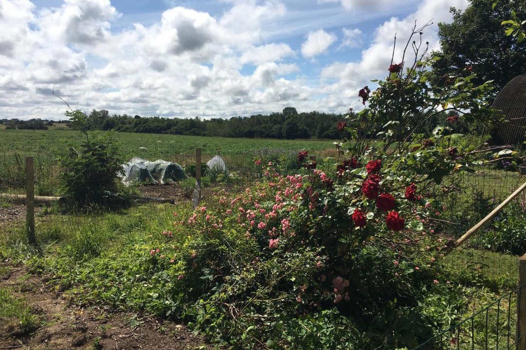 Photo of Others in Udsholt