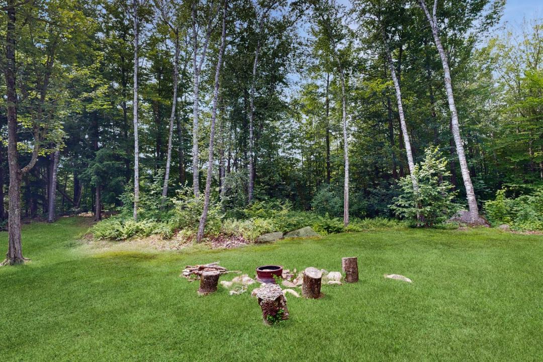 Photo of Others in Intervale