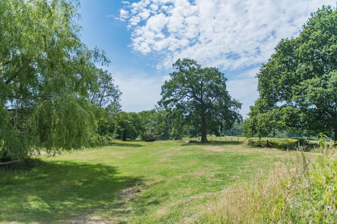 Photo of Others in Sheffield Green