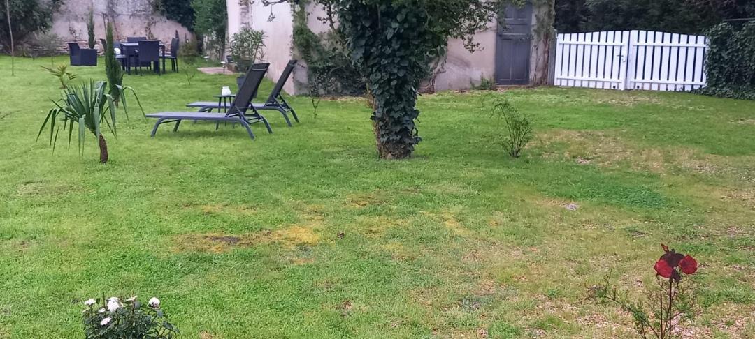 Photo of Others in Gy-en-Sologne