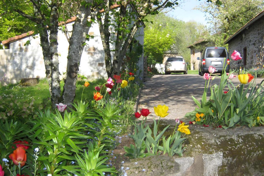 Photo of Others in Panazol