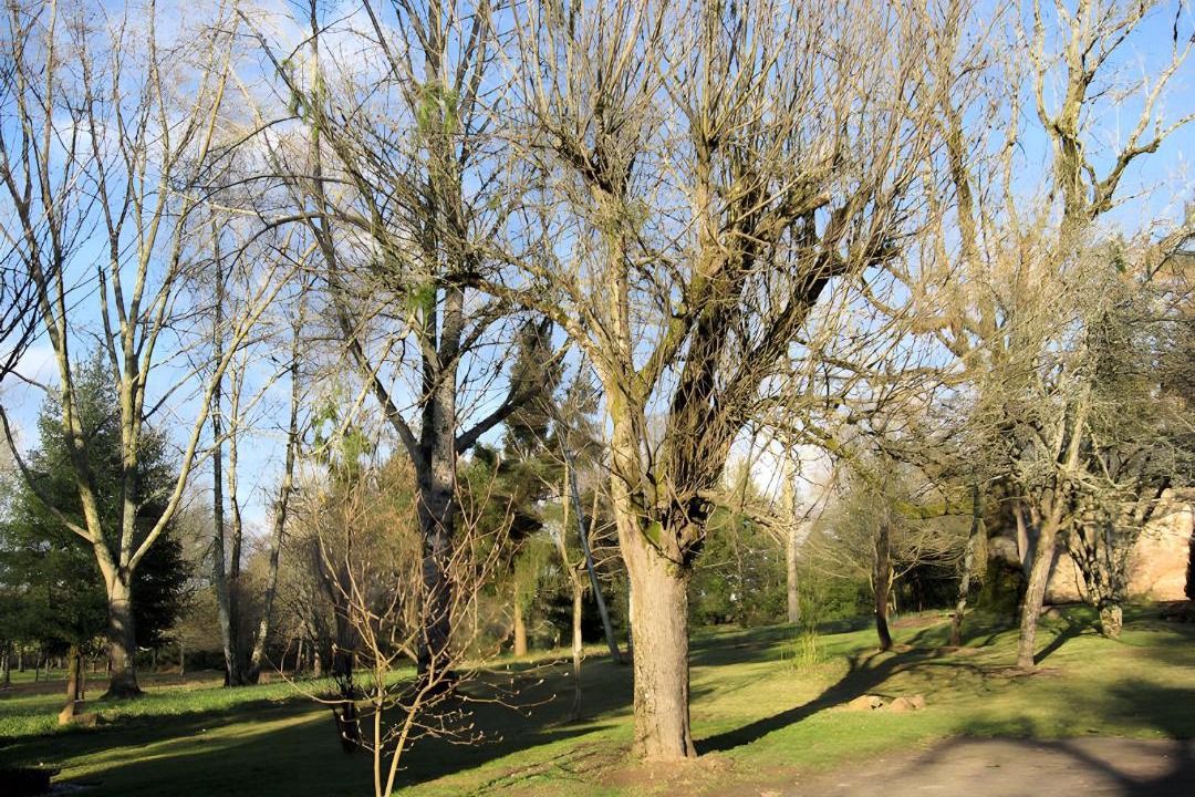 Photo of Others in Panazol