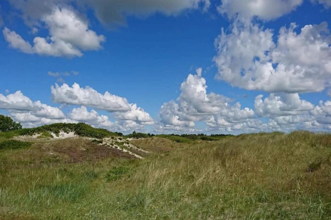 Photo of Others in Øster Melholt