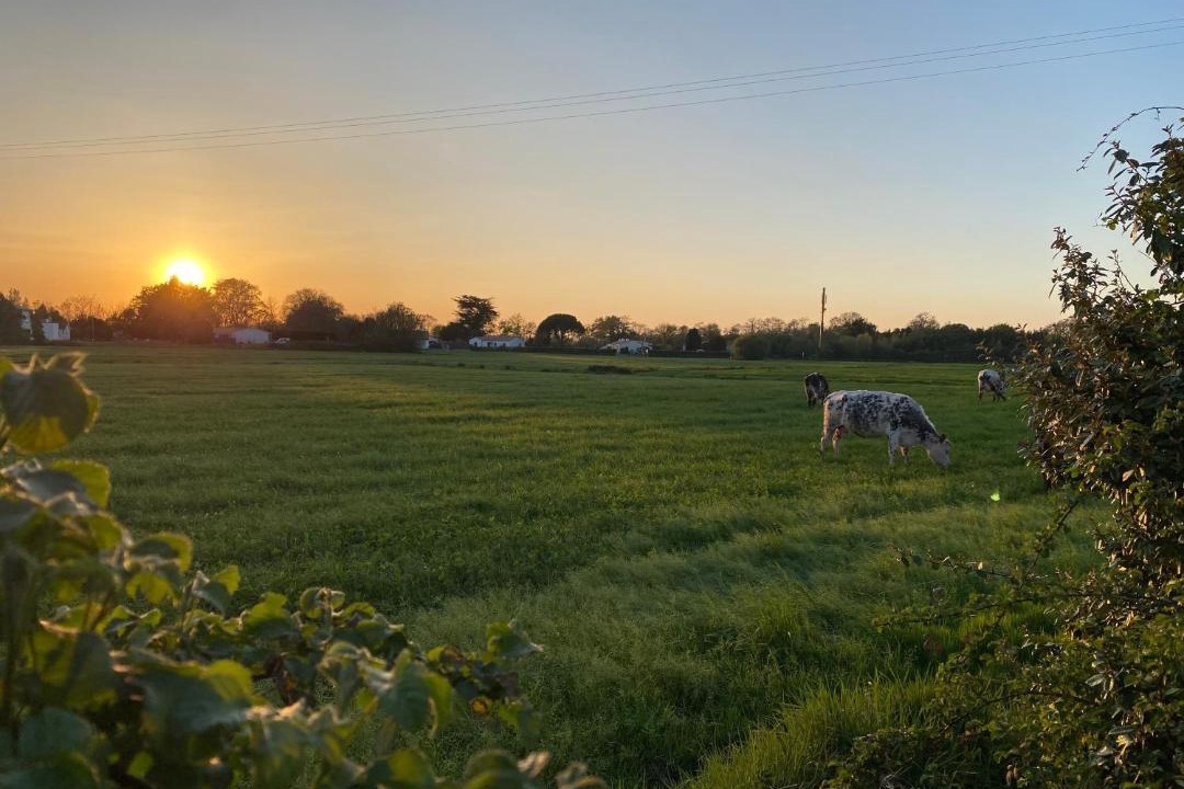 Photo of Others in Notre-Dame-de-Riez