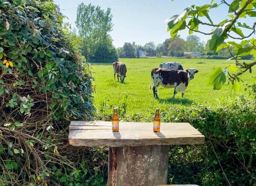 Photo of Others in Notre-Dame-de-Riez