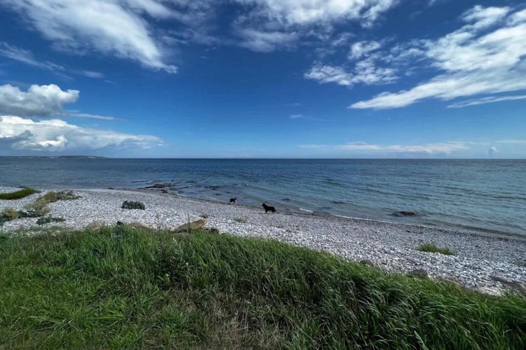 Photo of Others in Elsegarde Strand
