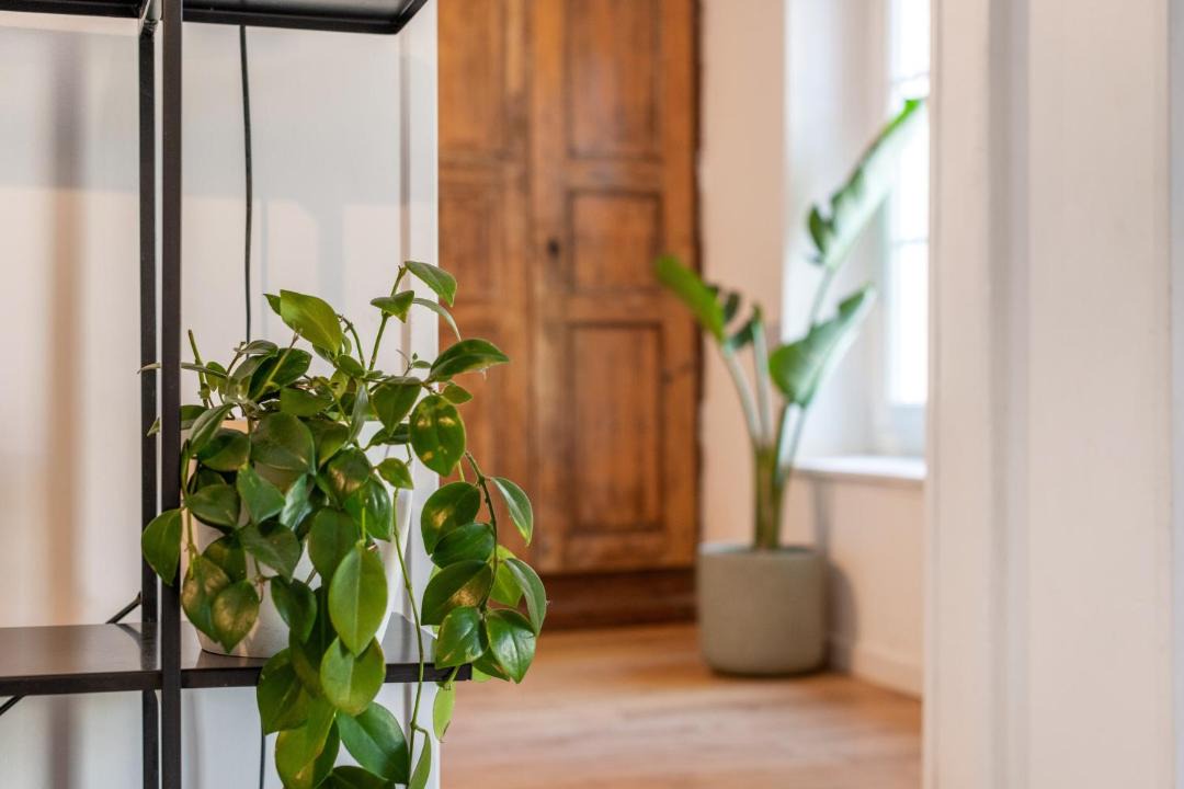 Photo of Others in Vienne