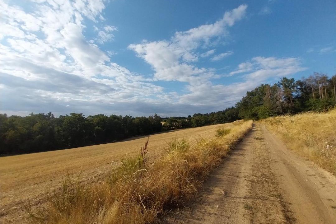 Photo of Others in Auzon