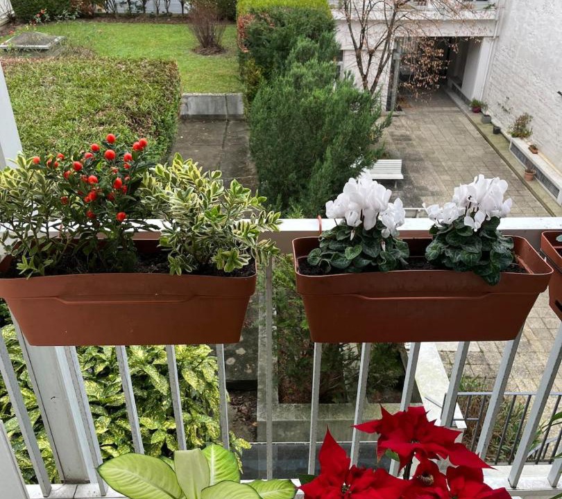 Photo of Patio Balcony in Quartier de Javel