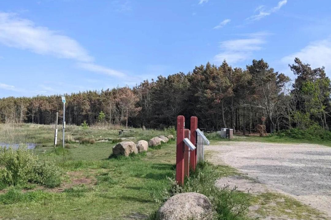 Photo of Others in Vedersø Klit