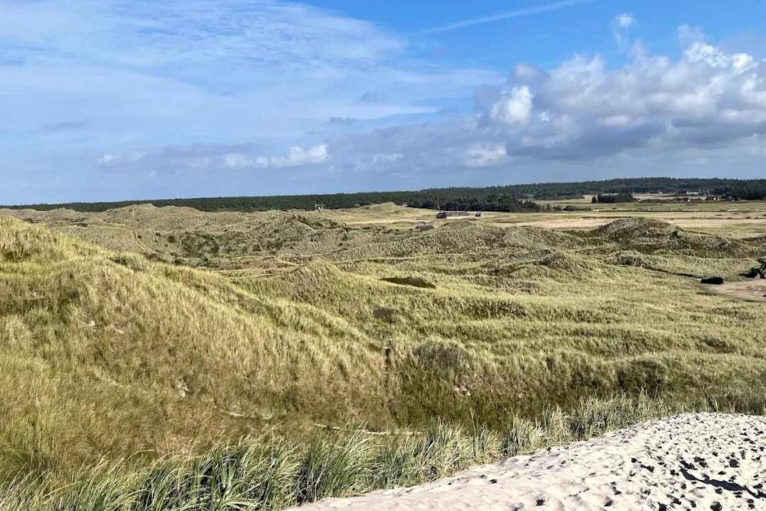 Photo of Others in Vedersø Klit