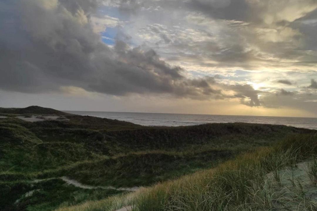Photo of Others in Vedersø Klit