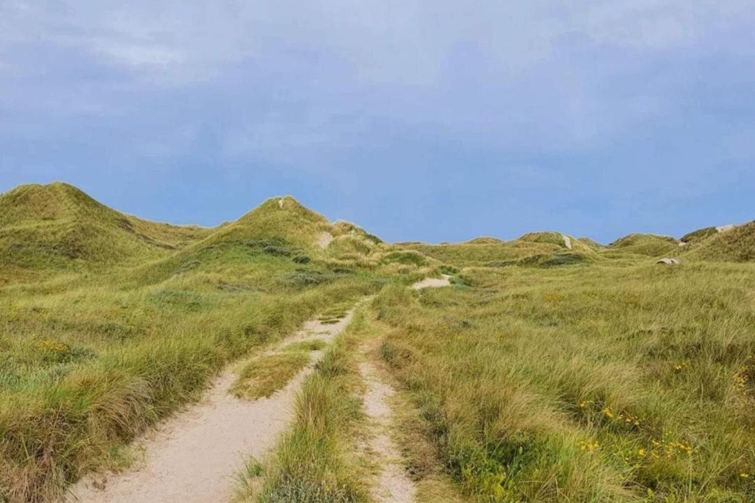 Photo of Others in Vedersø Klit
