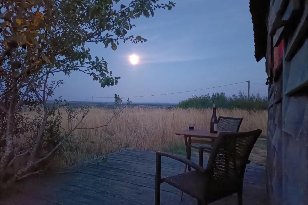 Photo of Others in Dettey