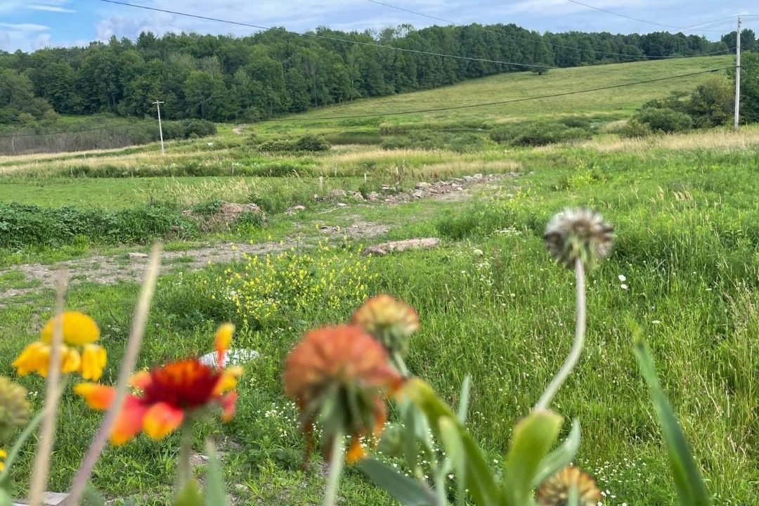 Photo of Others in Norwich