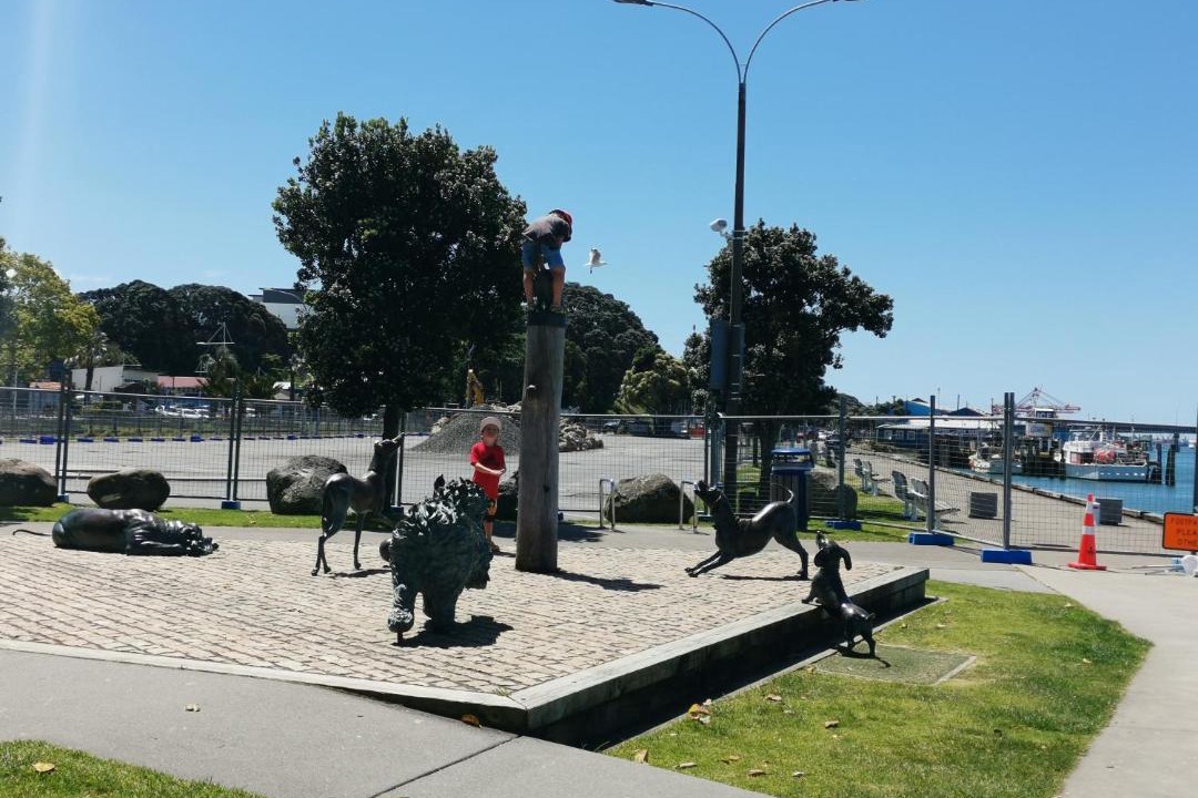 Photo of Others in Tauranga