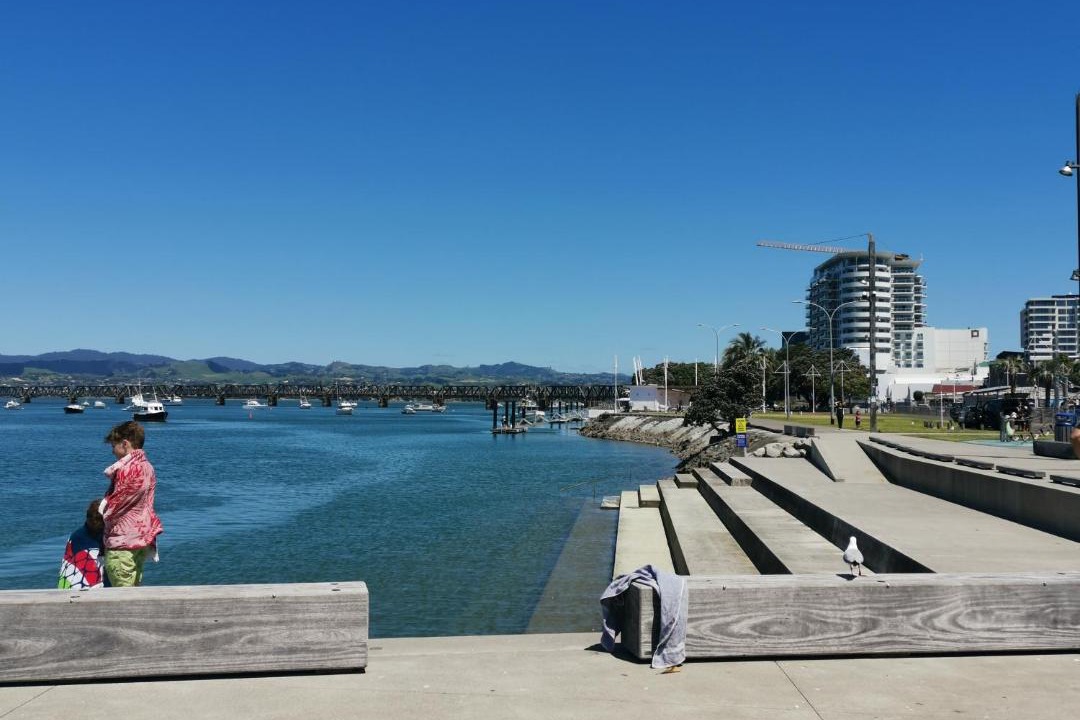 Photo of Others in Tauranga